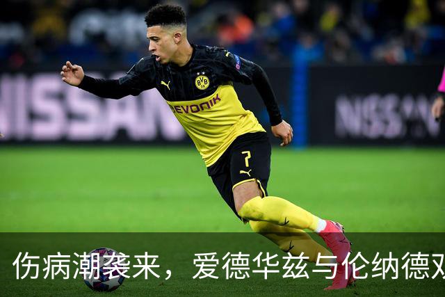 伤病潮袭来，爱德华兹与伦纳德双双受困